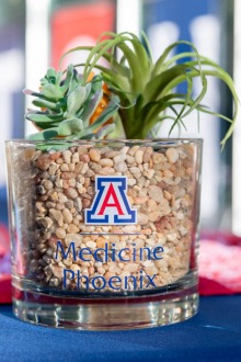 Two small succulents are in a clear glass planter with the University of Arizona College of Medicine – Phoenix logo on the front. 