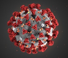 Coronavirus (Photo: CDC)