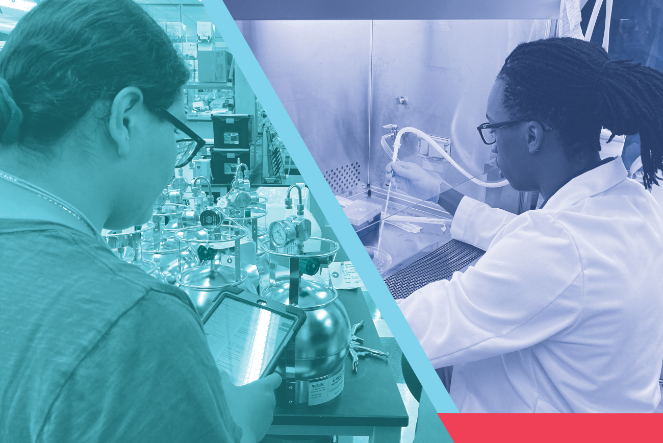 Why Immersion Summer Programs Are Important For Healthcare Students