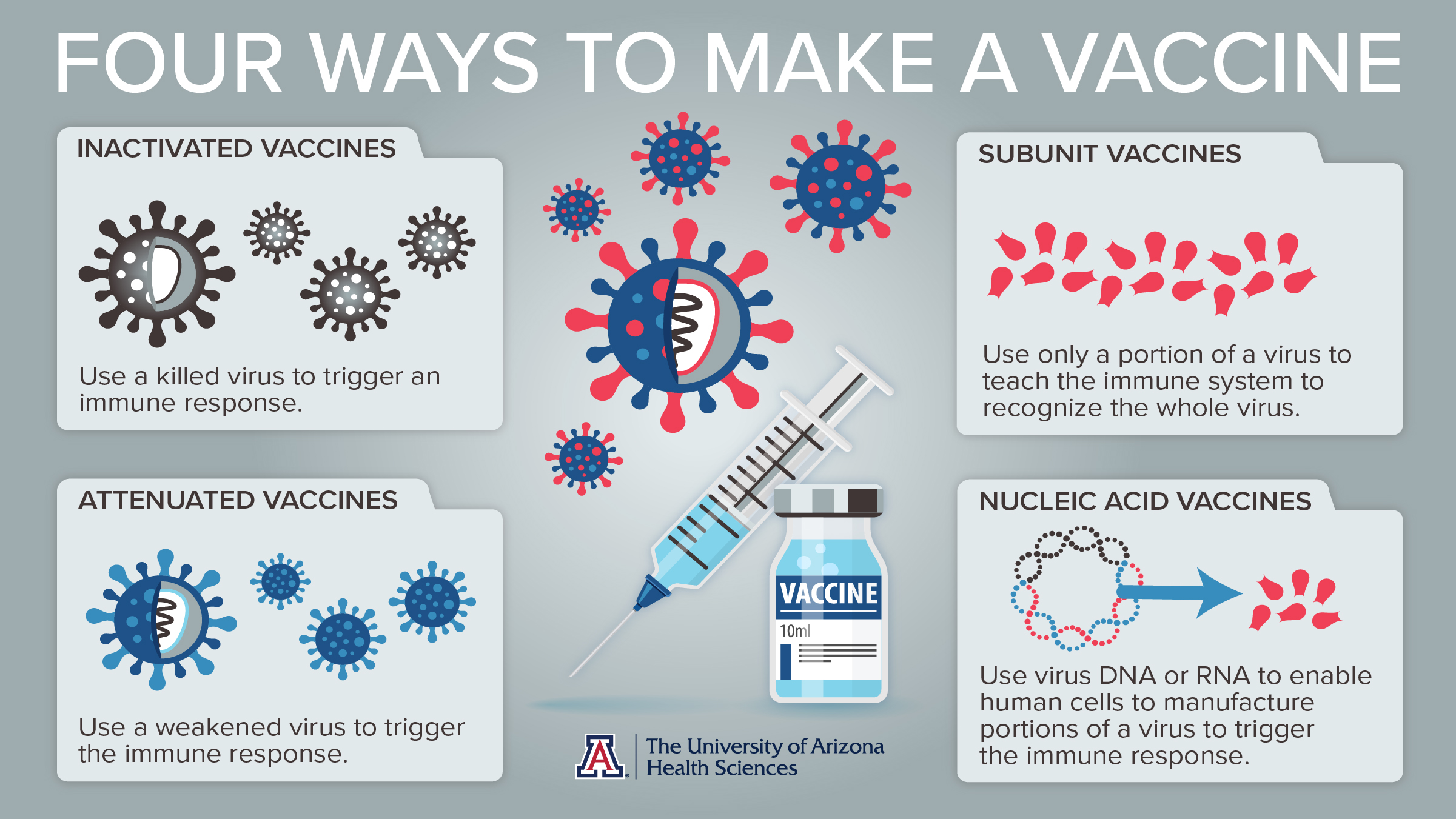 What it Takes to Create a Vaccine The University of Arizona Health