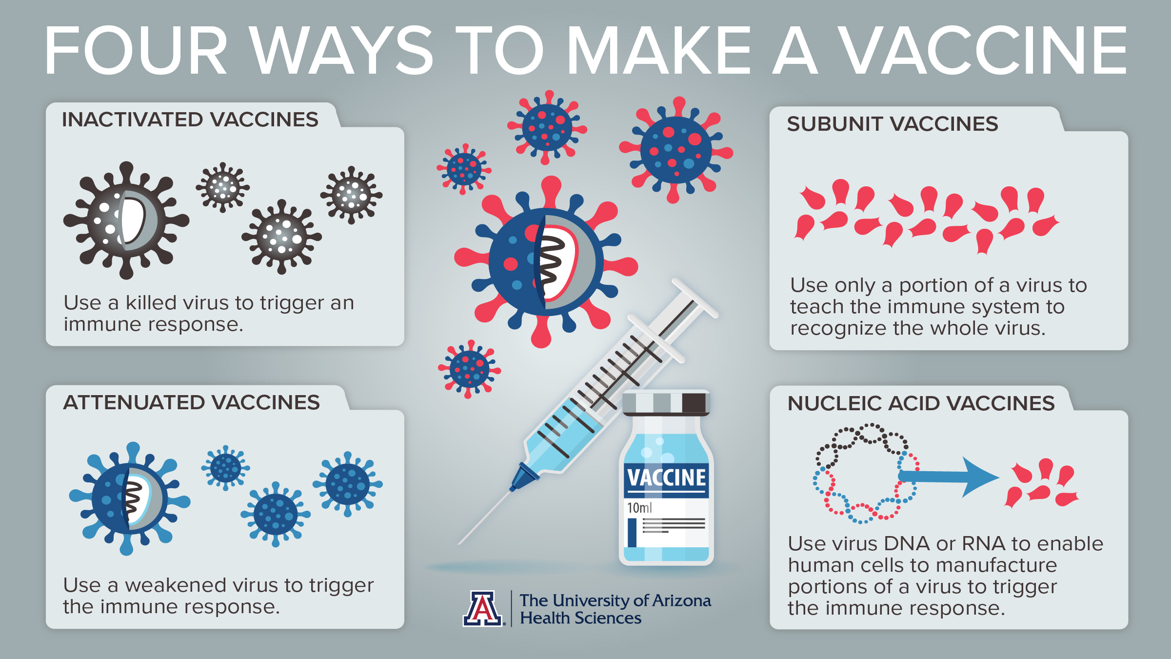 essay on importance of vaccination